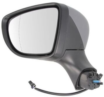 Renault Buitenspiegel 5402092002127P