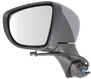 Renault Buitenspiegel 5402092002129P