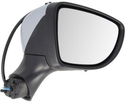 Renault Buitenspiegel 5402092002132P
