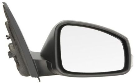 Renault Buitenspiegel 5402092002142P