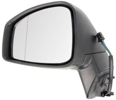 Renault Buitenspiegel 5402092002153P