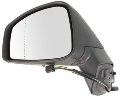 Renault Buitenspiegel 5402092002155P