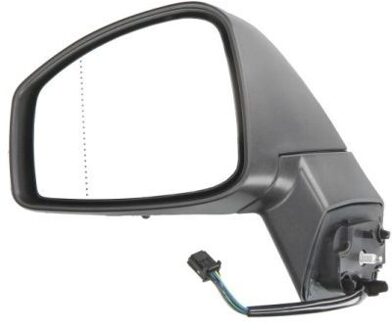 Renault Buitenspiegel 5402092002157P