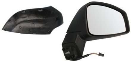 Renault Buitenspiegel 5402092002158P