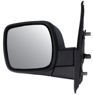 Renault Buitenspiegel 5402092002161P