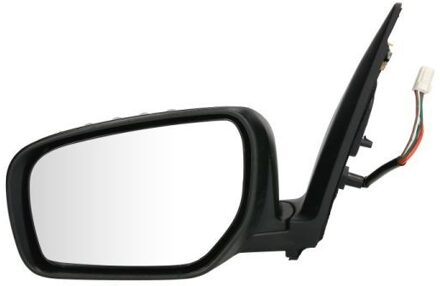 Renault Buitenspiegel 5402092002163P