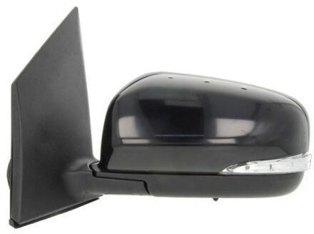 Renault Buitenspiegel 5402092002165P