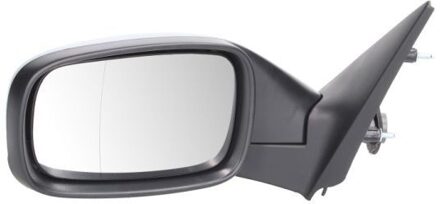 Renault Buitenspiegel 5402092002167P