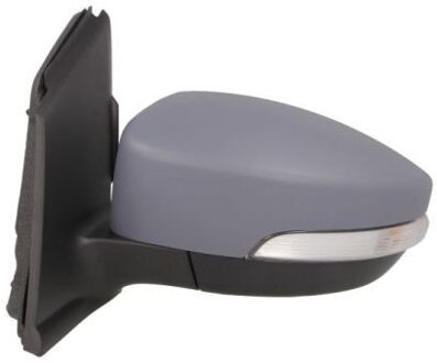 Renault Buitenspiegel 5402092002172P