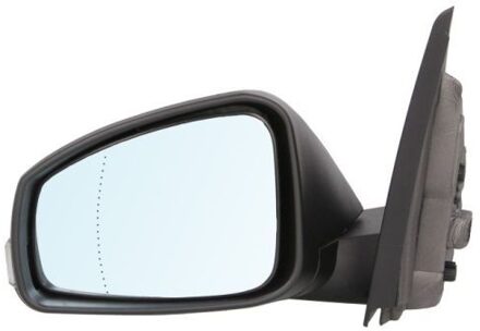 Renault Buitenspiegel 5402092002173P