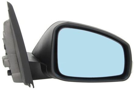 Renault Buitenspiegel 5402092002174P