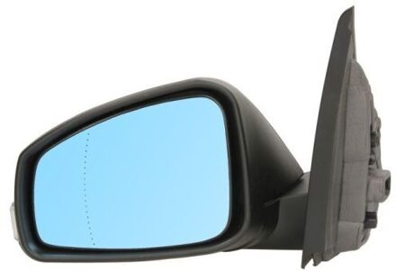 Renault Buitenspiegel 5402092002175P