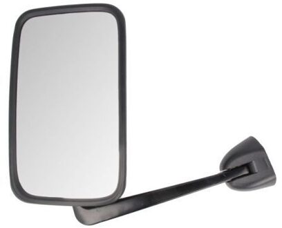 Renault Buitenspiegel 5402092002184P