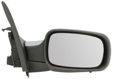 Renault Buitenspiegel 5402092002188P