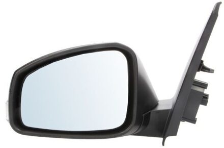 Renault Buitenspiegel 5402092002189P