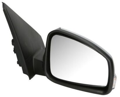 Renault Buitenspiegel 5402092002192P