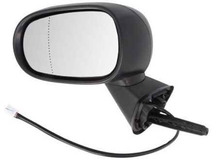 Renault Buitenspiegel 5402092002197P