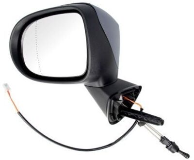 Renault Buitenspiegel 5402092002199P