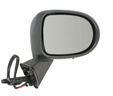 Renault Buitenspiegel 5402092002202P