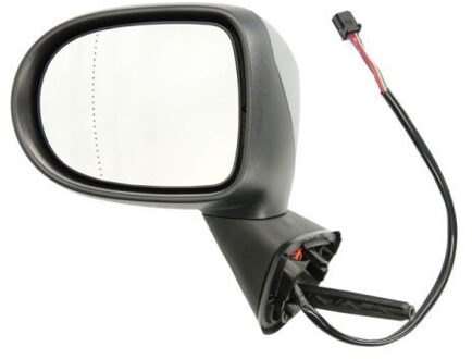 Renault Buitenspiegel 5402092002203P