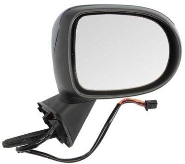 Renault Buitenspiegel 5402092002204P