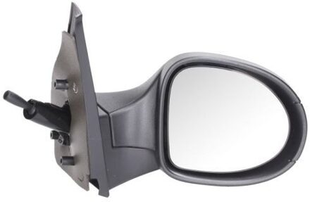 Renault Buitenspiegel 5402092002208P