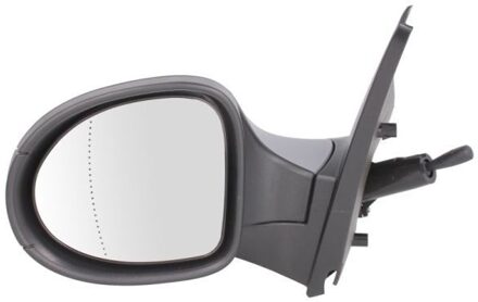 Renault Buitenspiegel 5402092002209P