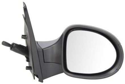 Renault Buitenspiegel 5402092002210P