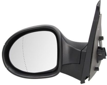 Renault Buitenspiegel 5402092002211P