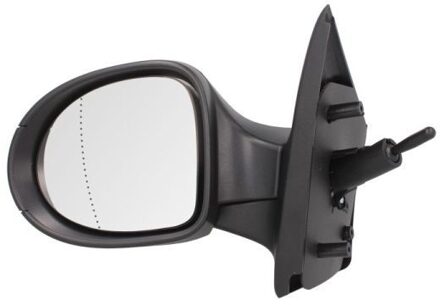 Renault Buitenspiegel 5402092002219P