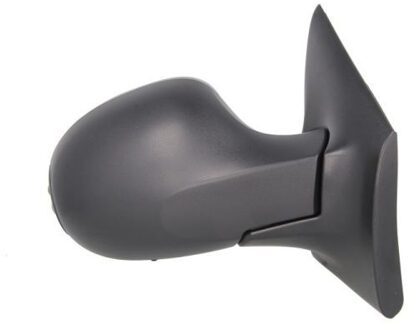 Renault Buitenspiegel 5402092002224P