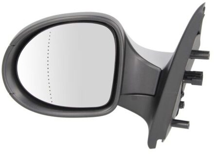 Renault Buitenspiegel 5402092002225P