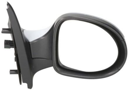 Renault Buitenspiegel 5402092002226P