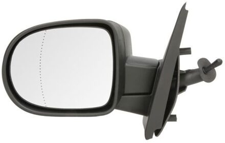 Renault Buitenspiegel 5402092002231P