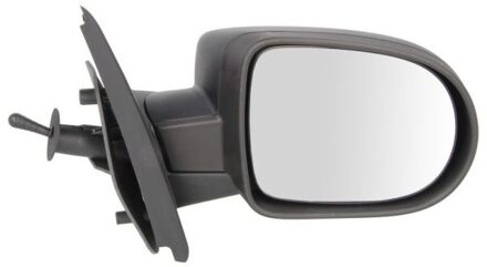 Renault Buitenspiegel 5402092002232P