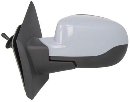 Renault Buitenspiegel 5402092002233P