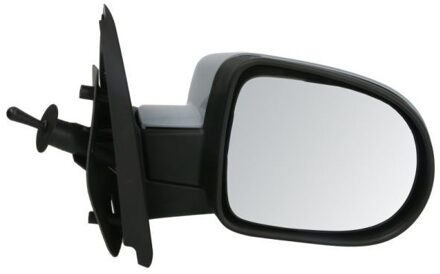 Renault Buitenspiegel 5402092002234P