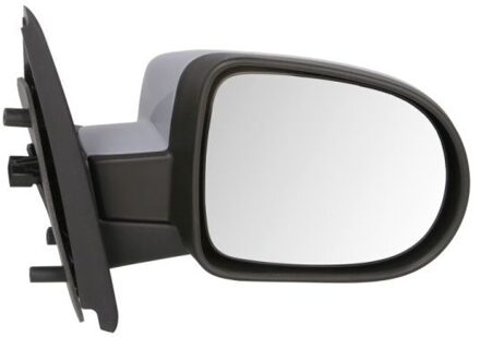 Renault Buitenspiegel 5402092002238P