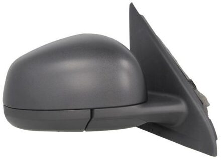 Renault Buitenspiegel 5402092002240P