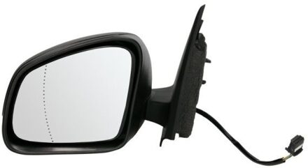 Renault Buitenspiegel 5402092002241P