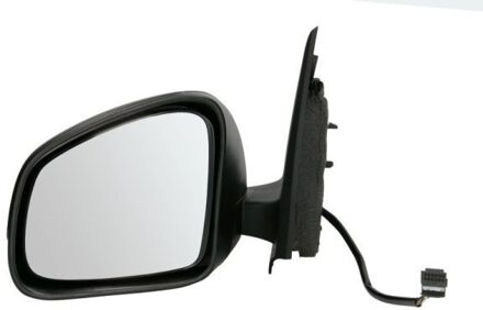 Renault Buitenspiegel 5402092002242P