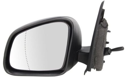 Renault Buitenspiegel 5402092002243P