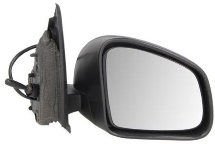 Renault Buitenspiegel 5402092002244P