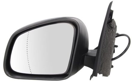 Renault Buitenspiegel 5402092002245P