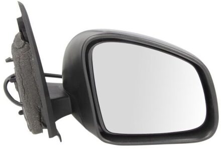 Renault Buitenspiegel 5402092002246P