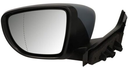 Renault Buitenspiegel 5402092333310P