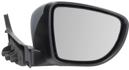 Renault Buitenspiegel 5402092333311P