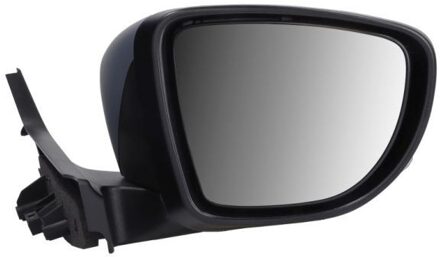 Renault Buitenspiegel 5402092333313P