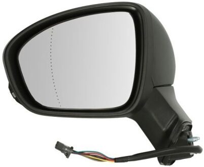 Renault Buitenspiegel 5402092345310P