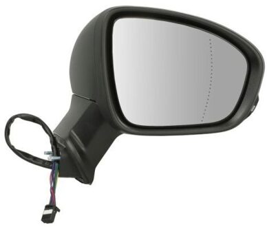 Renault Buitenspiegel 5402092345311P